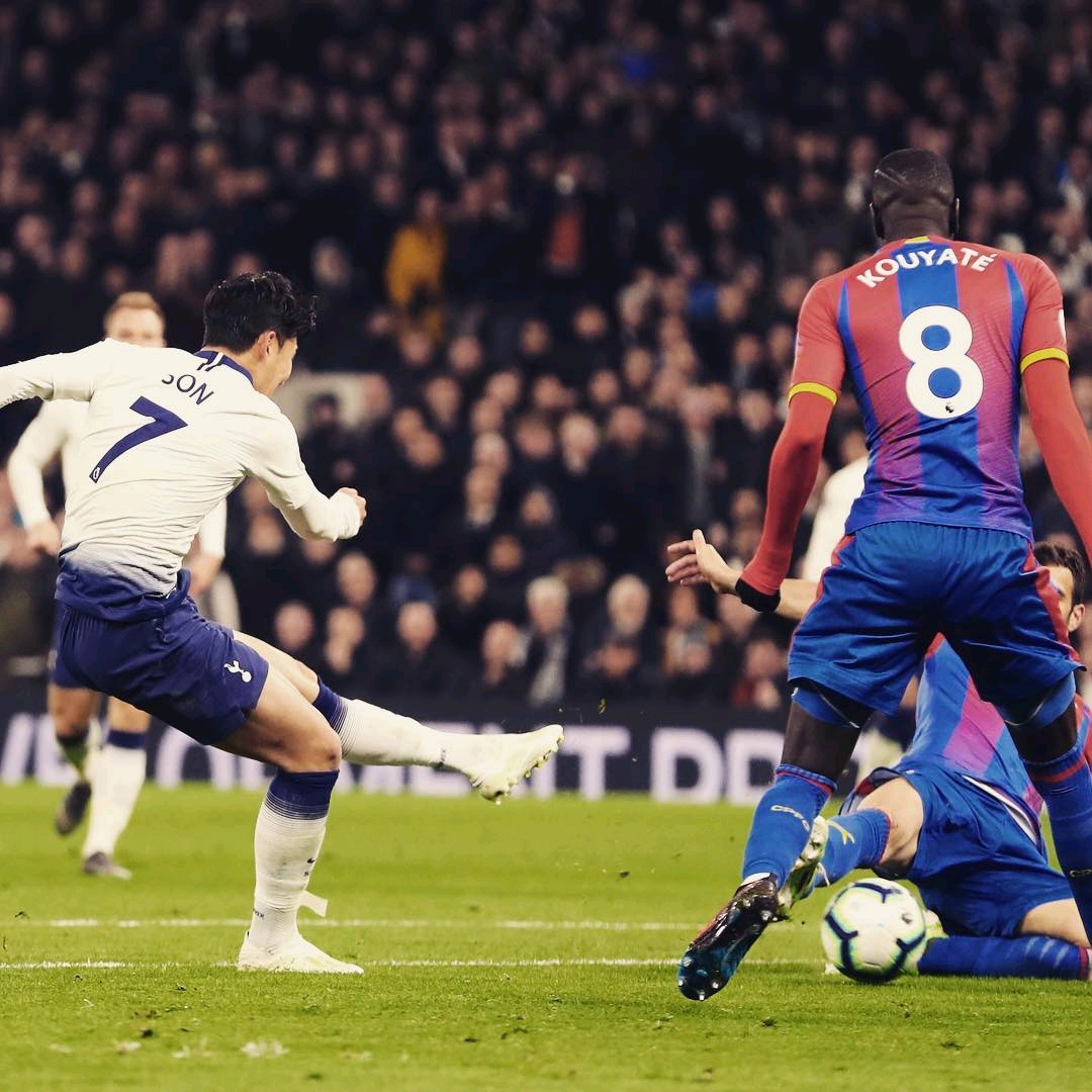 德約科維奇 德約科維奇